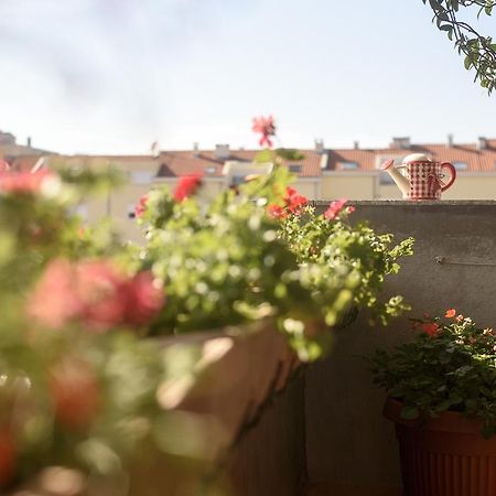 Basic Apartman Διαμέρισμα Ζαντάρ Εξωτερικό φωτογραφία