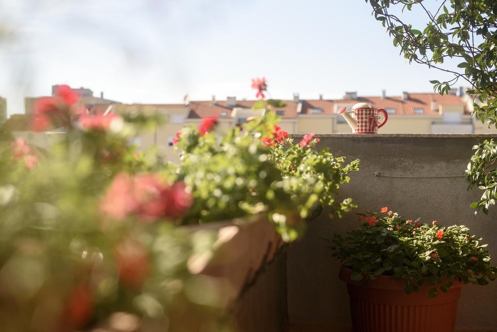 Basic Apartman Διαμέρισμα Ζαντάρ Εξωτερικό φωτογραφία